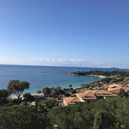 Superbe Appartement T2 Vue Magnifique Sanguinaires A 50M De La Plage Ajaccio  Eksteriør bilde